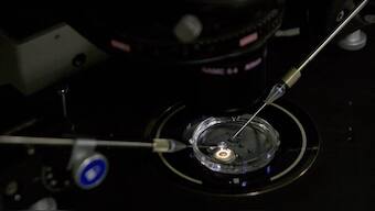 Six months after CRISPR babies scandal, renewed debate in the scientific community