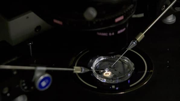 Six months after CRISPR babies scandal, renewed debate in the scientific community