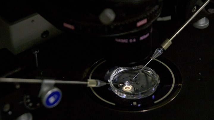 Six months after CRISPR babies scandal, renewed debate in the scientific community