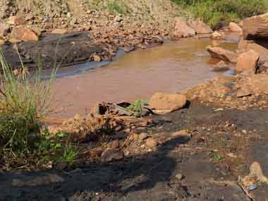 Chhattisgarh polls: Managing fields often ruined by chemical sludge, Dantewada farmers have little hope from elections and NMDC Chhattisgarh polls: Managing fields often ruined by chemical sludge, Dantewada farmers have little hope from elections and NMDC