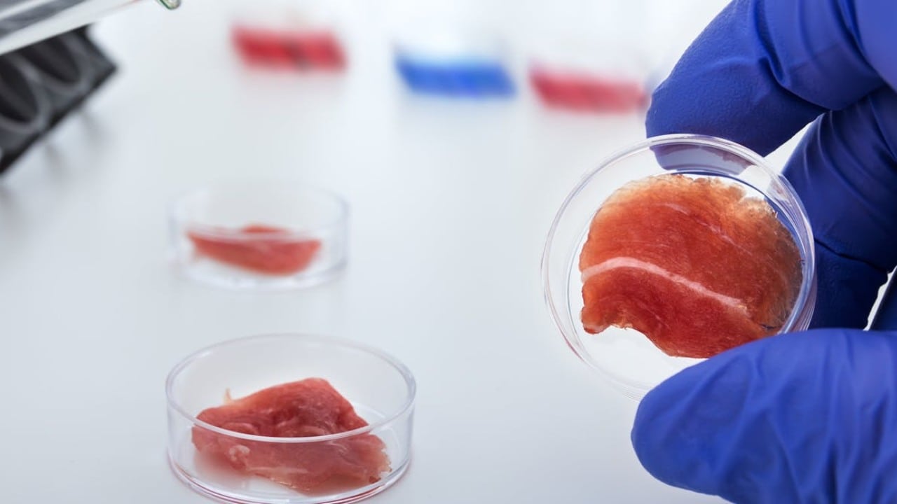 Lab-grown meat.