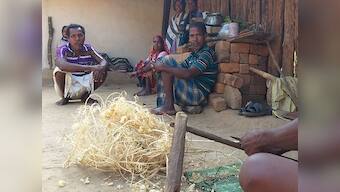 Pahadi Korwa farmers in Chhattisgarh aren't complaining about low MSP, but ground reality of govt effort has them in fix
