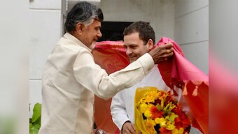 'Opposition must unite to save democracy': Chandrababu Naidu meets Rahul Gandhi to form anti-BJP front