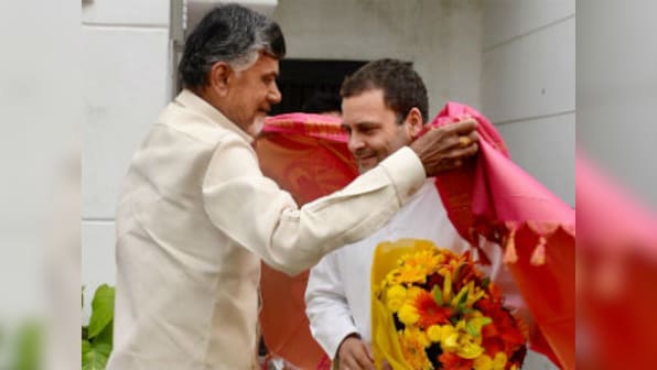 'Opposition must unite to save democracy': Chandrababu Naidu meets Rahul Gandhi to form anti-BJP front
