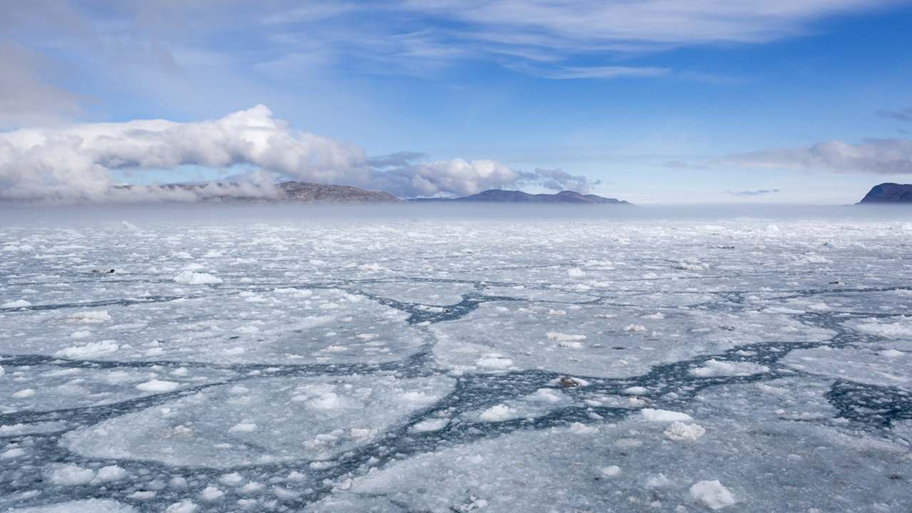 Wintertime ice growth in the Arctic sea faster than it was a few decades ago: NASA Wintertime ice growth in the Arctic sea faster than it was a few decades ago: NASA