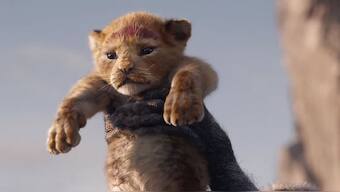 Here are some cool ways to create stickers, gifs, memes from The Lion King trailer