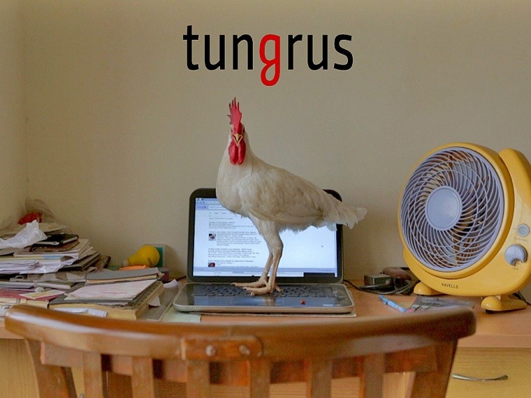 Tungrus review: Rishi Chandna's documentary short chronicles our relationship with pets and food Tungrus review: Rishi Chandna's documentary short chronicles our relationship with pets and food