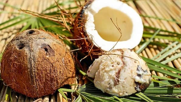 Coconut oil compounds better than DEET at preventing disease transmission: Report