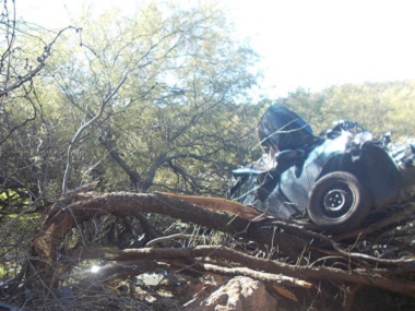 Arizona woman rescued six days after road accident left 53-year-old hanging from a tree in her vehicle Arizona woman rescued six days after road accident left 53-year-old hanging from a tree in her vehicle