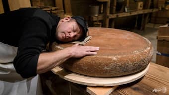 Sonic cheese: A Swiss study that experiments with sound to make cheese taste better
