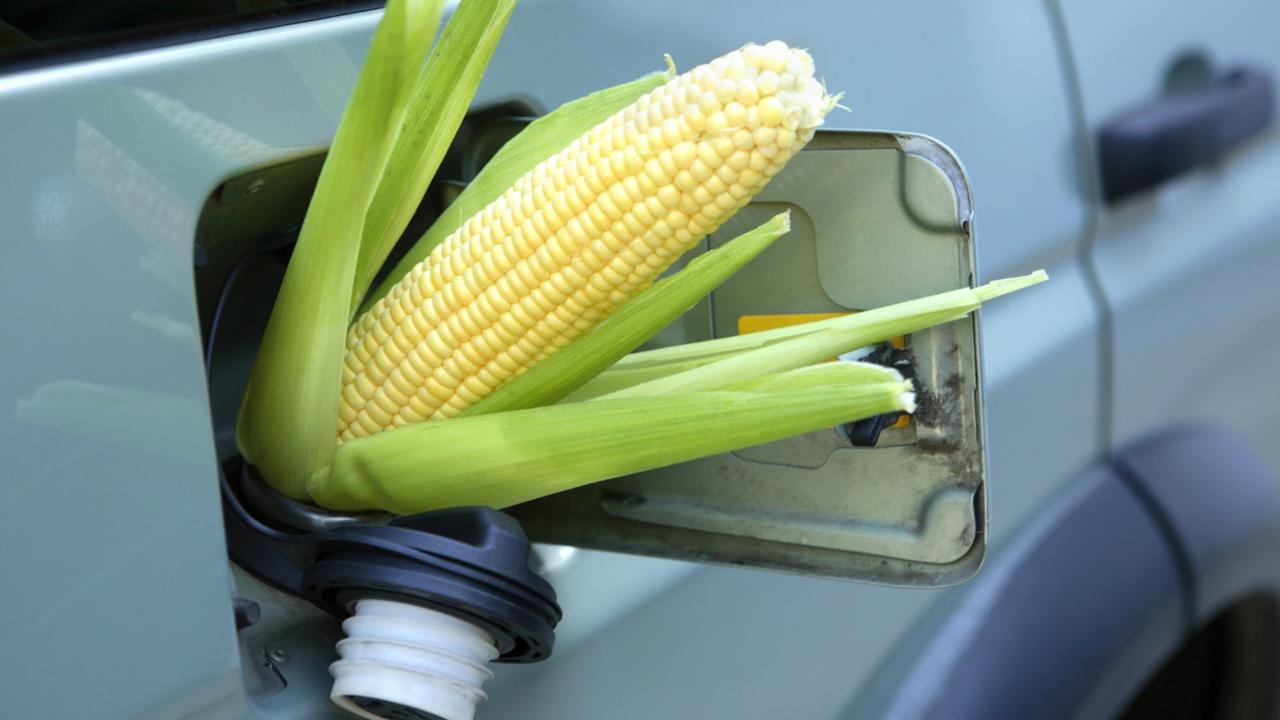 India becomes member of international collaboration on clean energy technology India becomes member of international collaboration on clean energy technology