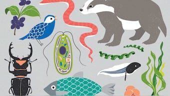 DNA of all life on Earth to be sequenced in massive genome project: Report