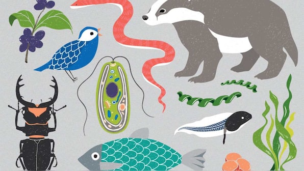 DNA of all life on Earth to be sequenced in massive genome project: Report