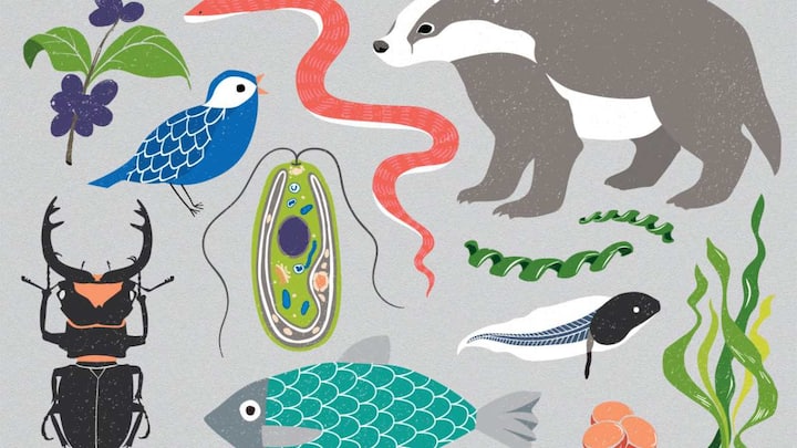 DNA of all life on Earth to be sequenced in massive genome project: Report