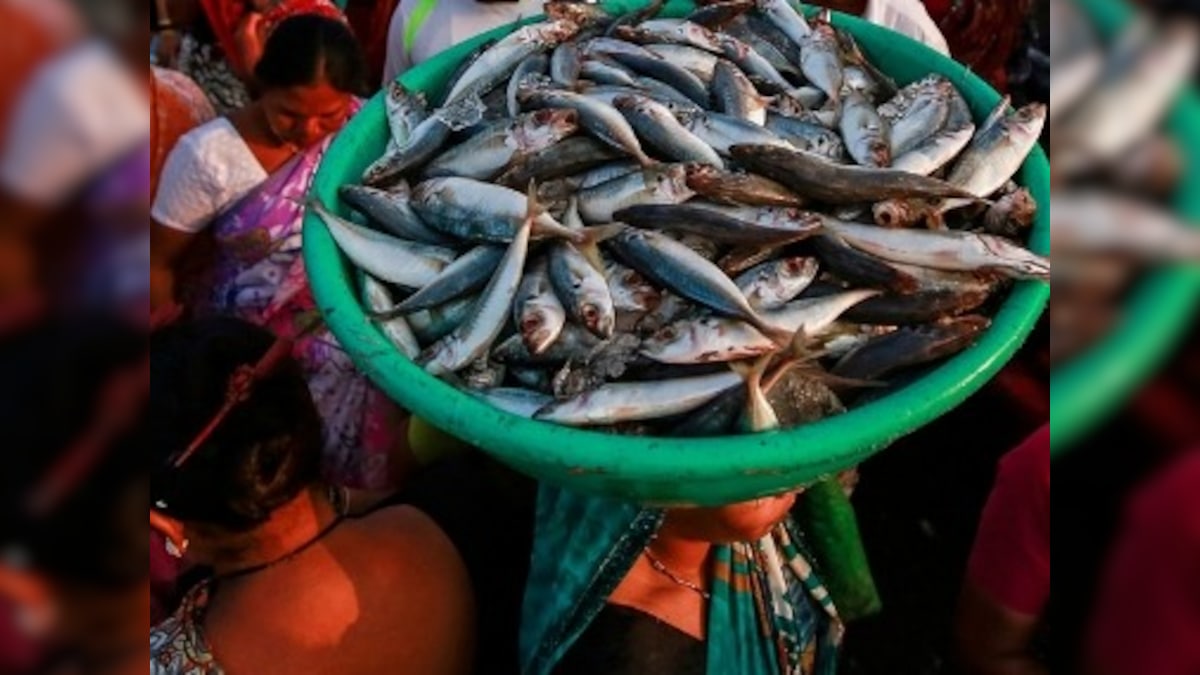 High risk of contamination makes seafood dangerous; people should avoid it for own health if not animal welfare