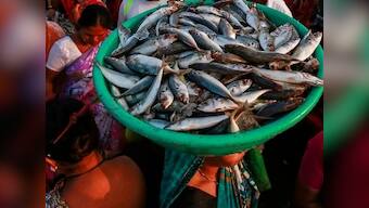 High levels of arsenic in seafood are worrisome; studies show even harmless forms of chemical may be toxic