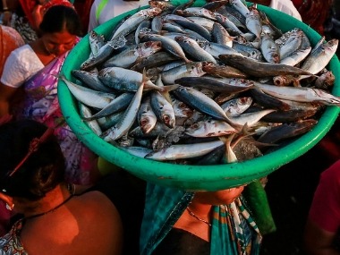 Coronavirus economic stimulus package: Cabinet approves Rs 20,050 cr scheme for fisheries sector Coronavirus economic stimulus package: Cabinet approves Rs 20,050 cr scheme for fisheries sector