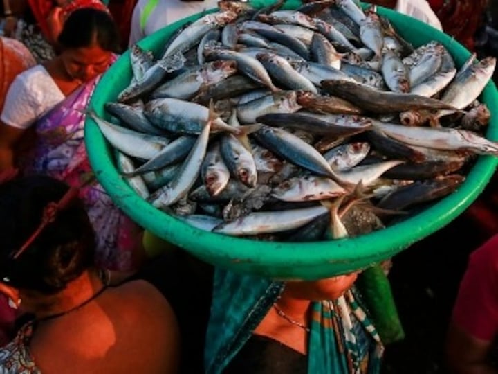 Coronavirus economic stimulus package: Cabinet approves Rs 20,050 cr scheme for fisheries sector