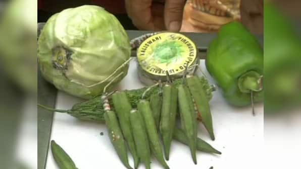 'Mooli phuljhadi', 'pyaaz chakri': Delhi traders sell firecrackers in vegetables to protest SC order on sale of green crackers