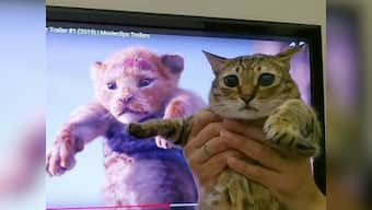 The Lion King teaser trailer has fans recreating momentous Simba-Rafiki scene with their pets