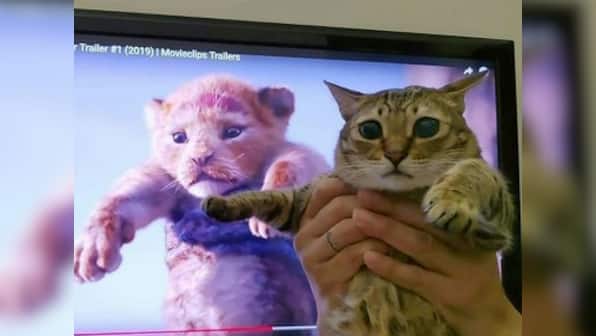 The Lion King teaser trailer has fans recreating momentous Simba-Rafiki scene with their pets