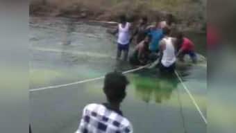Mandya accident: At least 25 killed after bus falls into canal in Karnataka; lone survivor jumped out of bus