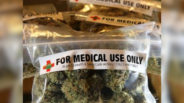 Thai lawmakers support legalising marijuana for medical use, won’t allow recreational use of drug