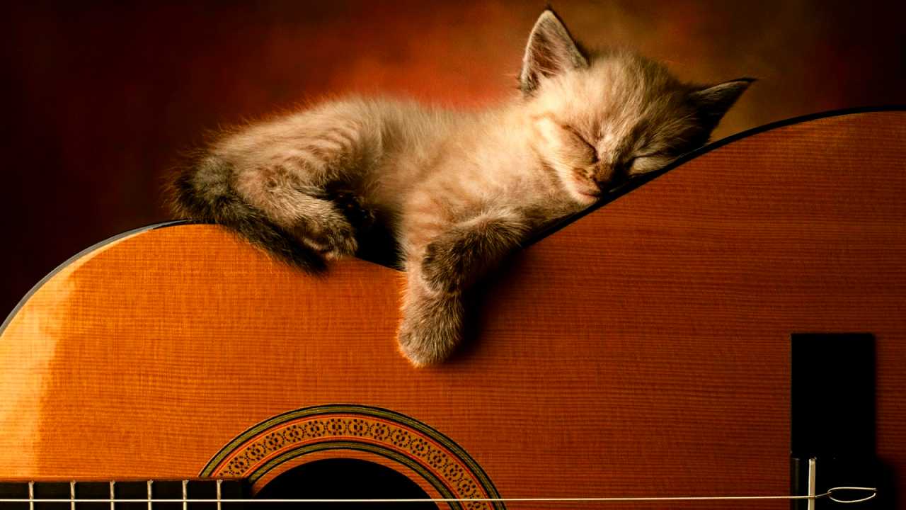 Music can be an affordable, non-medical aid to overcome sleep loss, study finds Music can be an affordable, non-medical aid to overcome sleep loss, study finds