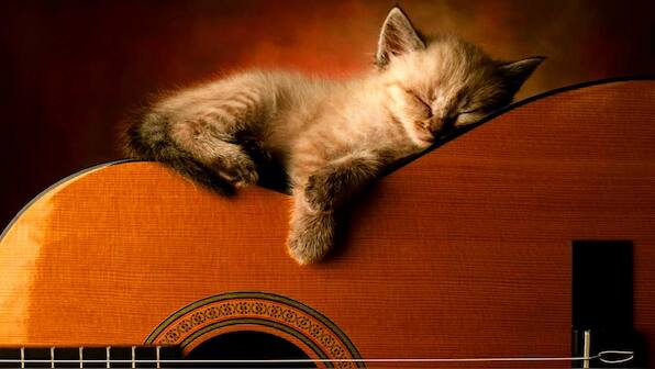 Music can be an affordable, non-medical aid to overcome sleep loss, study finds
