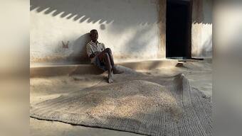 Tribal sugarcane farmers in Chhattisgarh's Surguja banking on Congress to end human-elephant conflict in district