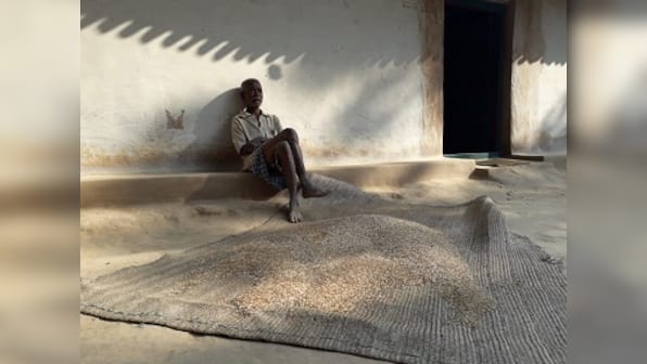 Tribal sugarcane farmers in Chhattisgarh's Surguja banking on Congress to end human-elephant conflict in district