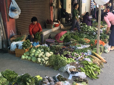 Farmers in Mizoram sceptical of 'empty promises' made by parties, but hope for reforms after Vidhan Sabha elections Farmers in Mizoram sceptical of 'empty promises' made by parties, but hope for reforms after Vidhan Sabha elections