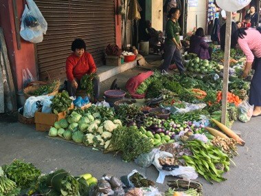 Farmers in Mizoram sceptical of 'empty promises' made by parties, but hope for reforms after Vidhan Sabha elections