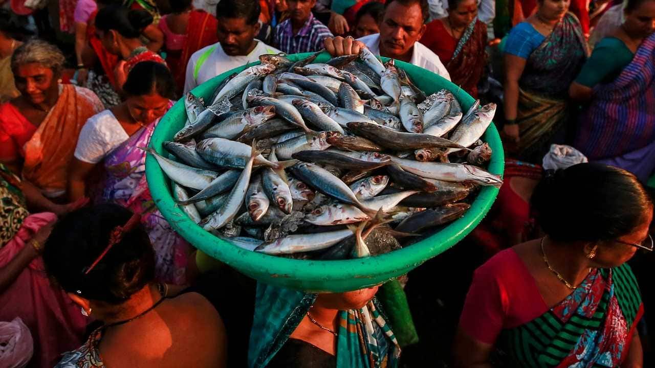 High levels of arsenic in seafood are worrisome; studies show even harmless forms of chemical