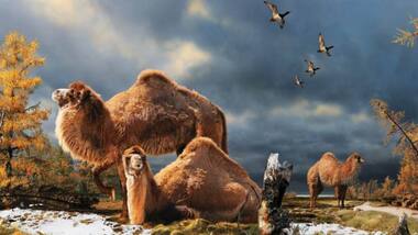 Earth's climate by year 2150 will compare to the climate 50 million years ago