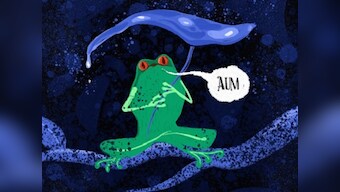 An abridged retelling of the Māṇḍūkya Upaniṣad, or The Upanishad of the Frog