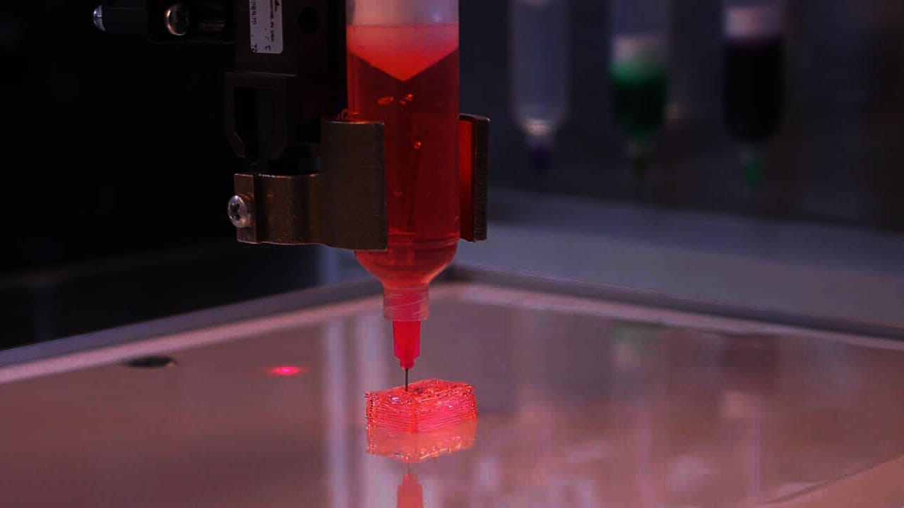 3D printed organs. Image courtesy: Advanced Solutions