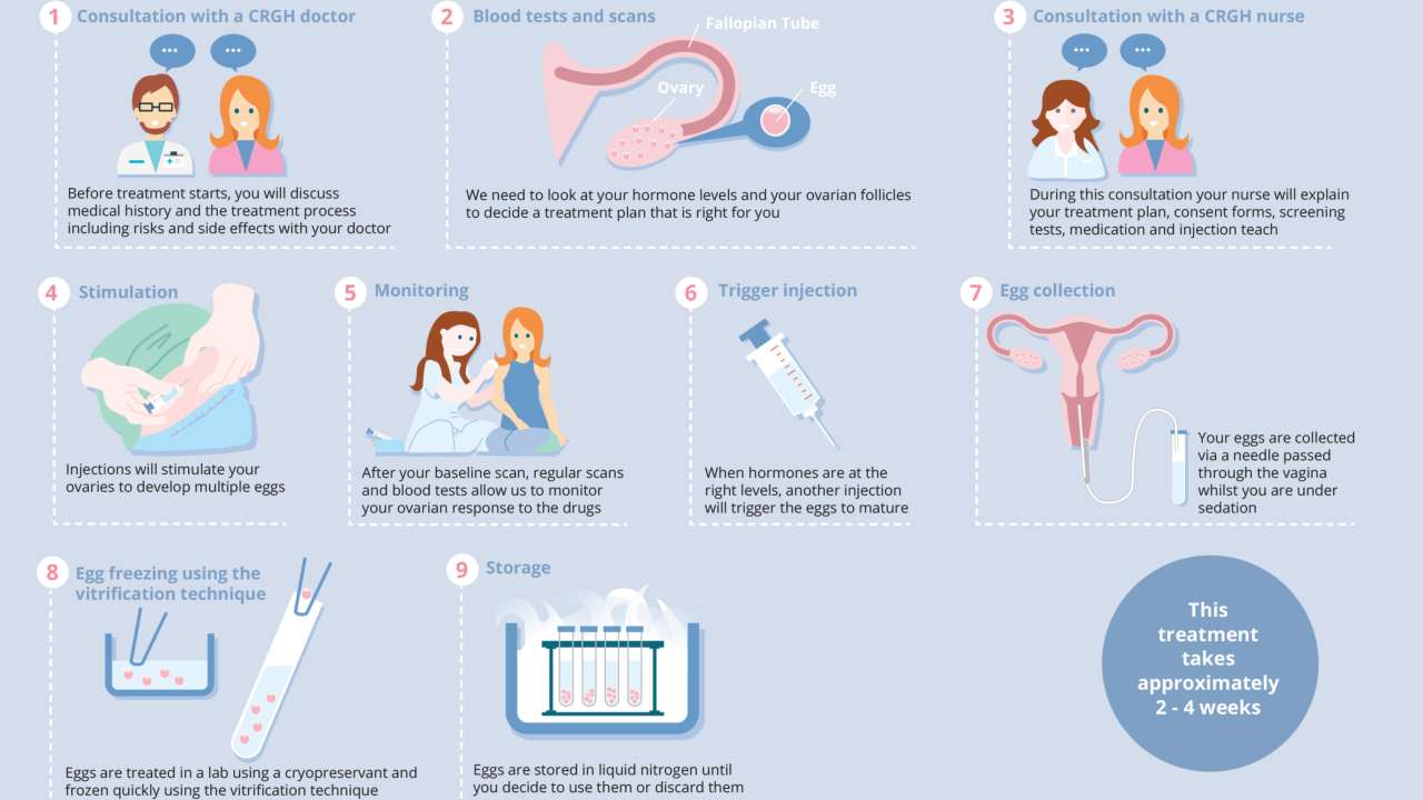An illustration of the steps in egg freezing. Image credit: The Centre for Reproductive & Genetic Health
