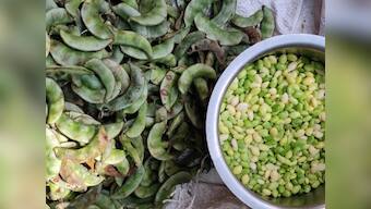 Avarekai tales: How a winter bean came to dominate Bengaluru's restaurant and home menus