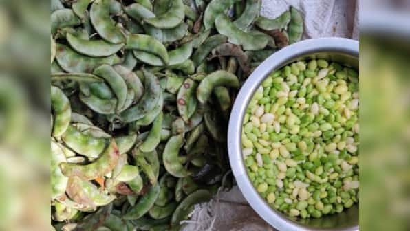 Avarekai tales: How a winter bean came to dominate Bengaluru's restaurant and home menus