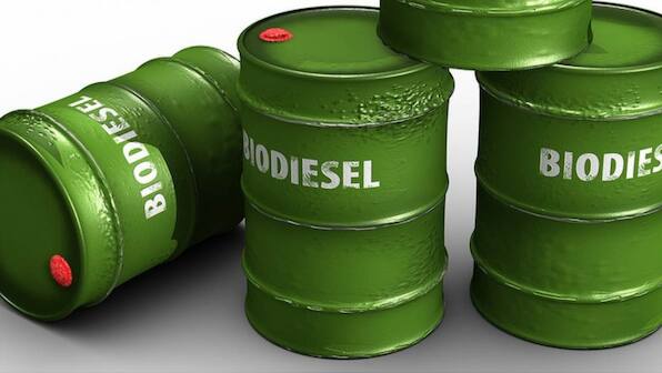 Pune scientists find a faster means of converting industrial biomass into biofuel