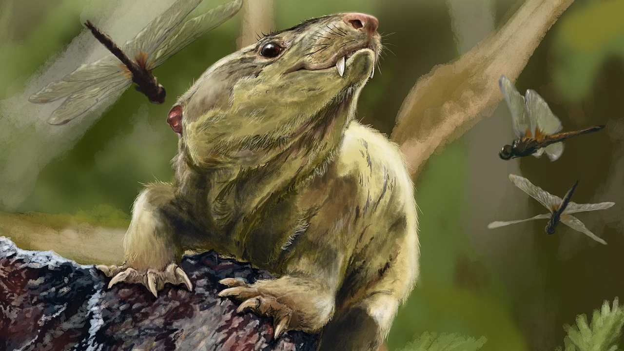 A cynodot species, Bonacynodon schultzi, reconstructed. Image courtesy: Earth Archives