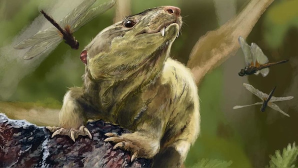 Five reasons why 2018 was a big, big year for fossils, evolution and palaeontology