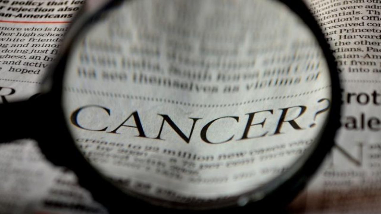 AI tool plows through past discoveries to aid cancer researchers find info quicker AI tool plows through past discoveries to aid cancer researchers find info quicker