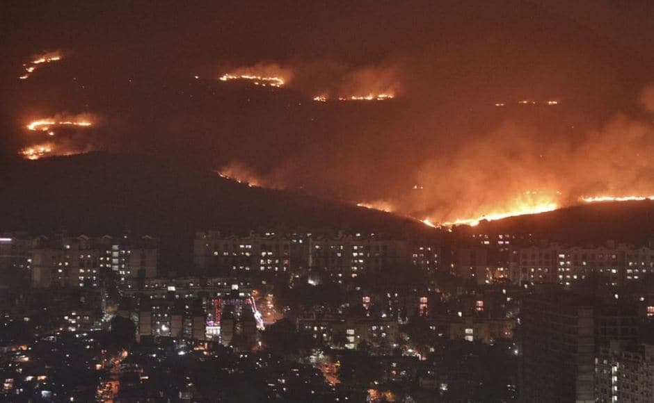 Fire on hill near Aarey Milk Colony in Mumbai's Goregaon engulfs four ...