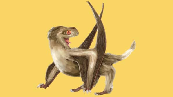 Flying reptiles that lived in the dinosaur era were covered in feathers, not fur
