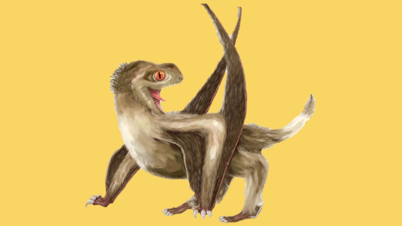 Flying reptiles that lived in the dinosaur era were covered in feathers, not fur Flying reptiles that lived in the dinosaur era were covered in feathers, not fur