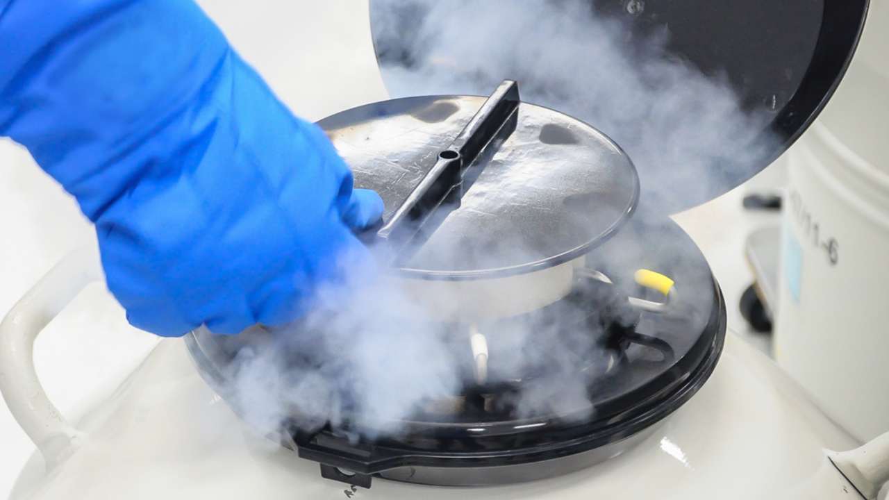 Sperm and egg freezing storage in a liquid nitrogen tank. Image courtesy: Oceanis Filyra