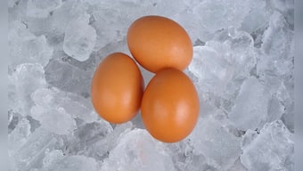 The new frontier of egg freezing and delayed motherhood for women in India