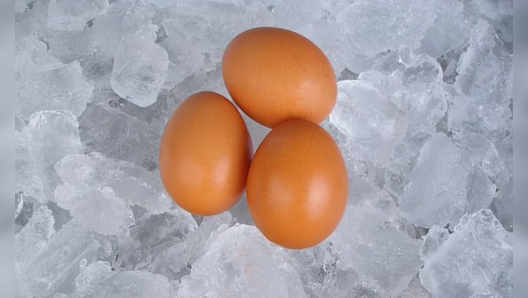 The new frontier of egg freezing and delayed motherhood for women in India